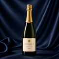 SUNDÈN Champagne Brut